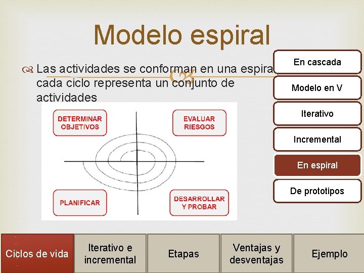 Modelo espiral Las actividades se conforman en una espiral, cada ciclo representa un conjunto