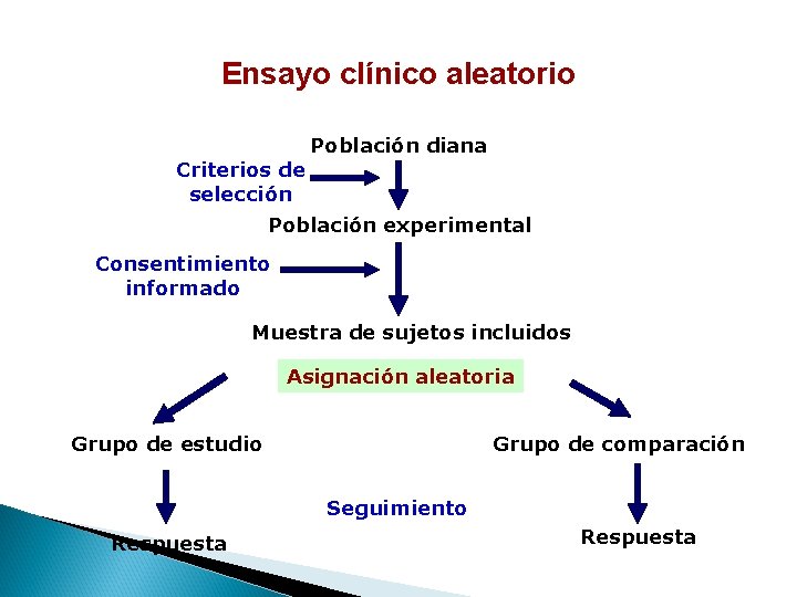 Ensayo clínico aleatorio Criterios de selección Población diana Población experimental Consentimiento informado Muestra de