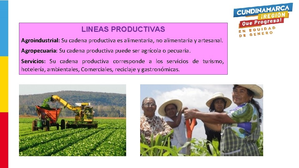 LINEAS PRODUCTIVAS Agroindustrial: Su cadena productiva es alimentaria, no alimentaria y artesanal. Agropecuaria: Su
