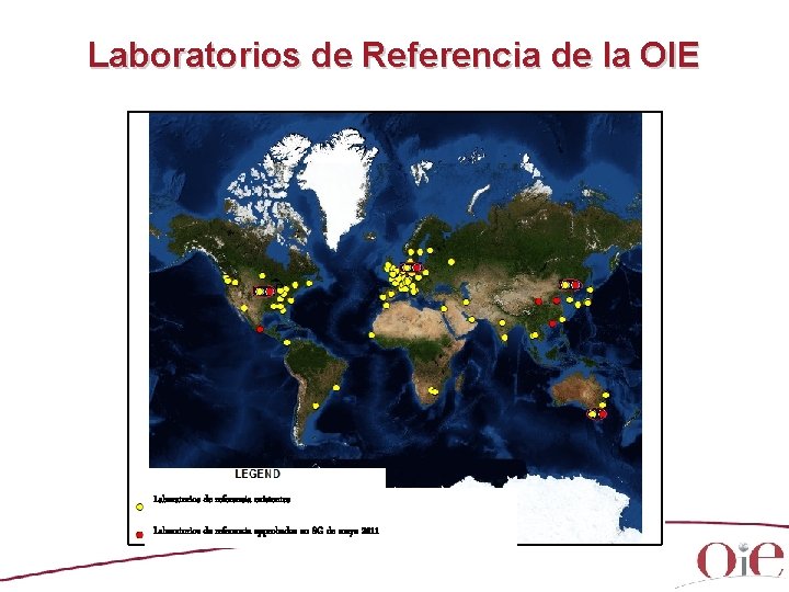 Laboratorios de Referencia de la OIE Laboratorios de referencia existentes Laboratorios de referencia approbados Laboratorios de Referencia de la OIE Laboratorios de referencia existentes Laboratorios de referencia approbados