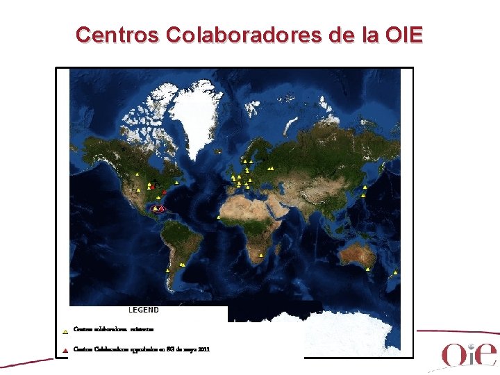 Centros Colaboradores de la OIE Centros colaboradores existentes Centros Colaboradores approbados en SG de Centros Colaboradores de la OIE Centros colaboradores existentes Centros Colaboradores approbados en SG de
