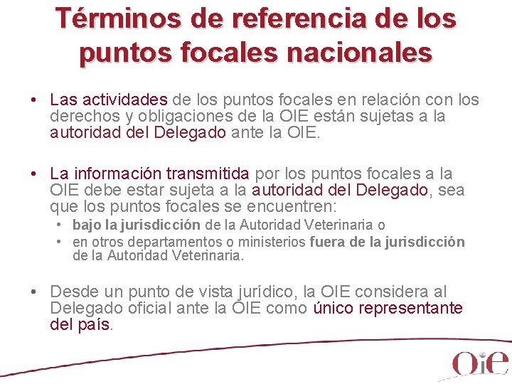 Términos de referencia de los puntos focales nacionales • Las actividades de los puntos Términos de referencia de los puntos focales nacionales • Las actividades de los puntos
