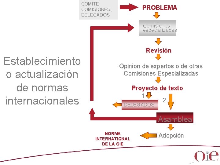 COMITE COMISIONES, DELEGADOS PROBLEMA Comisiones especializadas Revisión Establecimiento o actualización de normas internacionales Opinion COMITE COMISIONES, DELEGADOS PROBLEMA Comisiones especializadas Revisión Establecimiento o actualización de normas internacionales Opinion