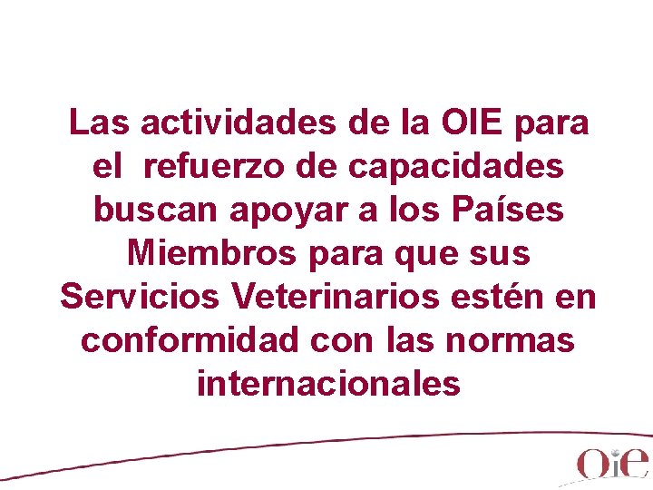 Las actividades de la OIE para el refuerzo de capacidades buscan apoyar a los Las actividades de la OIE para el refuerzo de capacidades buscan apoyar a los