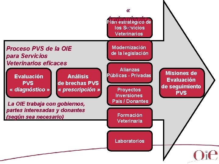 « tratamiento Plan estratégico de los Servicios » Veterinarios Proceso PVS de la « tratamiento Plan estratégico de los Servicios » Veterinarios Proceso PVS de la