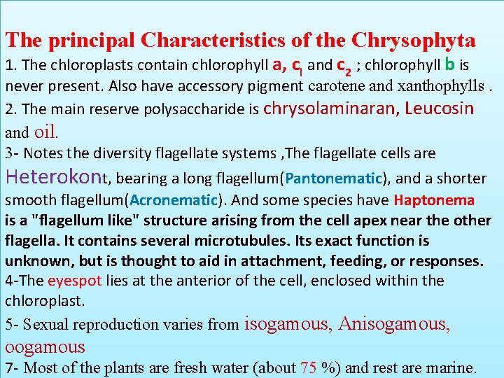 The principal Characteristics of the Chrysophyta 1. The chloroplasts contain chlorophyll a, cl and The principal Characteristics of the Chrysophyta 1. The chloroplasts contain chlorophyll a, cl and