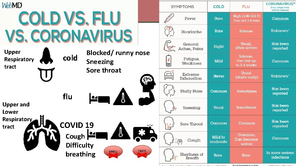 Upper Respiratory tract Upper and Lower Respiratory tract cold Blocked/ runny nose Sneezing Sore