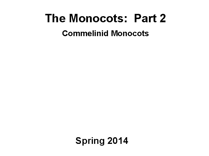 The Monocots: Part 2 Commelinid Monocots Spring 2014 