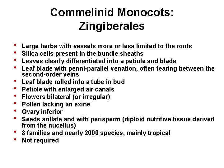 Commelinid Monocots: Zingiberales • • • Large herbs with vessels more or less limited