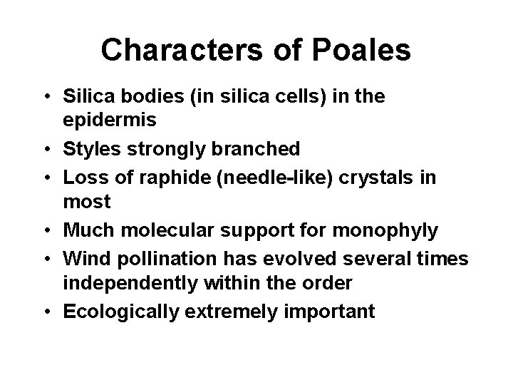 Characters of Poales • Silica bodies (in silica cells) in the epidermis • Styles