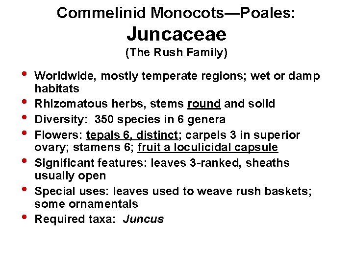 Commelinid Monocots—Poales: Juncaceae (The Rush Family) • • Worldwide, mostly temperate regions; wet or