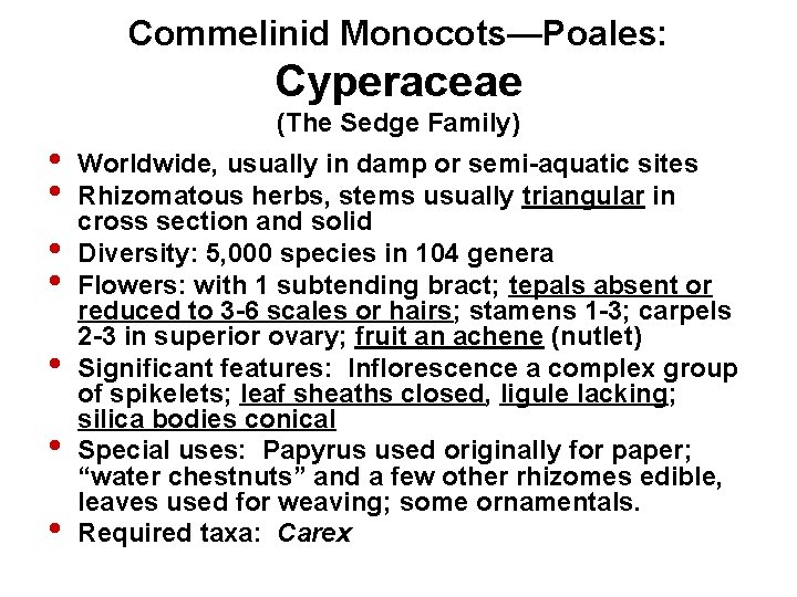 Commelinid Monocots—Poales: Cyperaceae • • (The Sedge Family) Worldwide, usually in damp or semi-aquatic