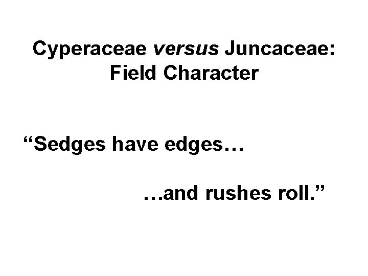 Cyperaceae versus Juncaceae: Field Character “Sedges have edges… …and rushes roll. ” 