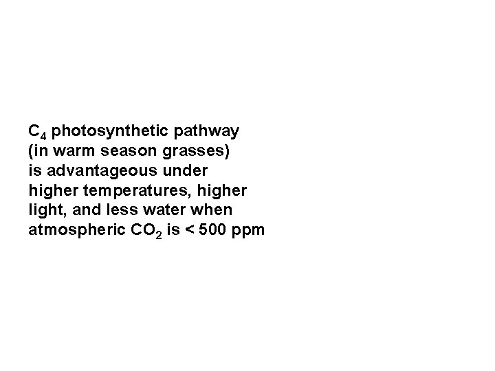 C 4 photosynthetic pathway (in warm season grasses) is advantageous under higher temperatures, higher