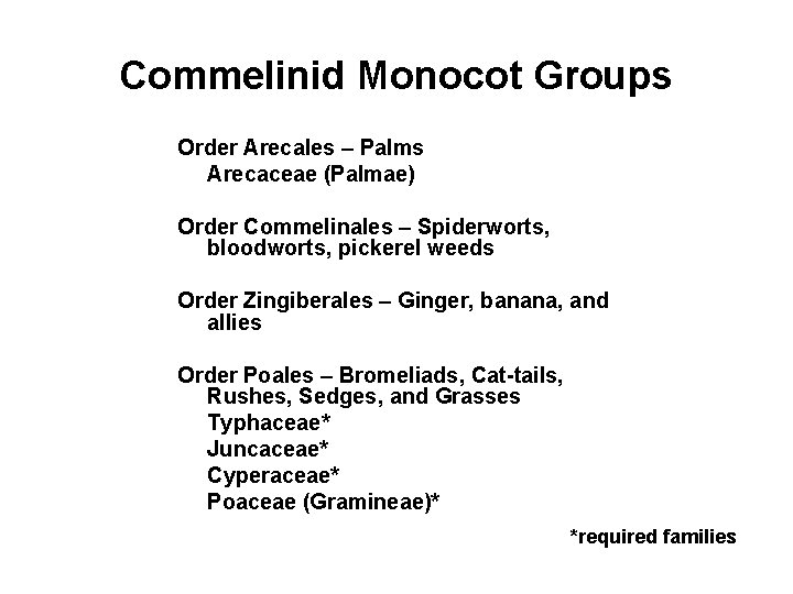 Commelinid Monocot Groups Order Arecales – Palms Arecaceae (Palmae) Order Commelinales – Spiderworts, bloodworts,