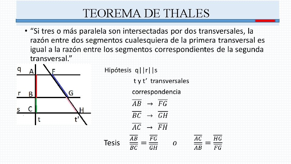 TEOREMA DE THALES • 