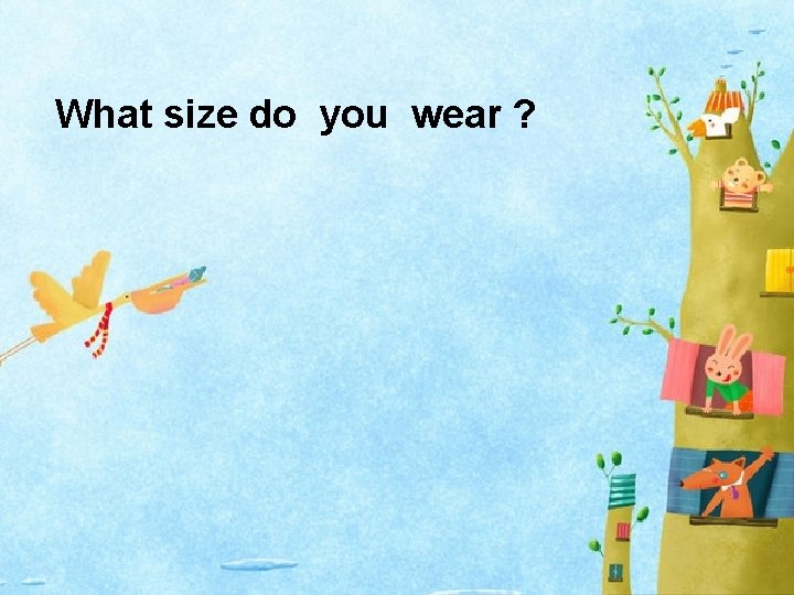 What size do you wear ? 