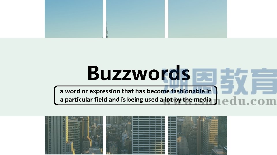 Buzzwords a word or expression that has become fashionable in a particular field and