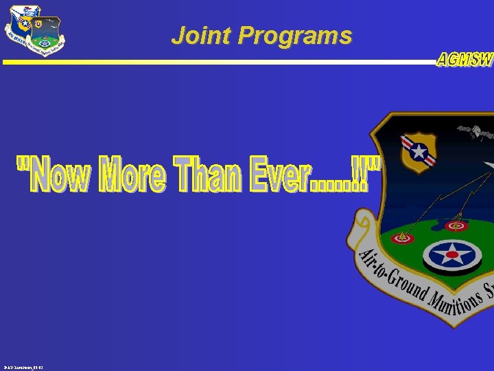 Joint Programs DAU Luncheon_05 -01 