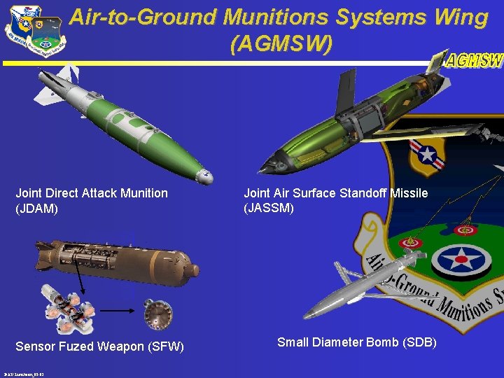 Air-to-Ground Munitions Systems Wing (AGMSW) Joint Direct Attack Munition (JDAM) Sensor Fuzed Weapon (SFW)