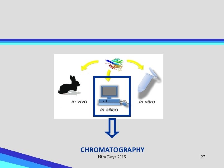 CHROMATOGRAPHY Nica Days 2015 27 