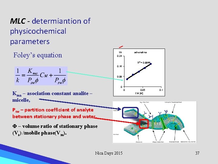 MLC - determiantion of physicochemical parameters 1/k Foley’s equation adrenalina 0. 24 R 2