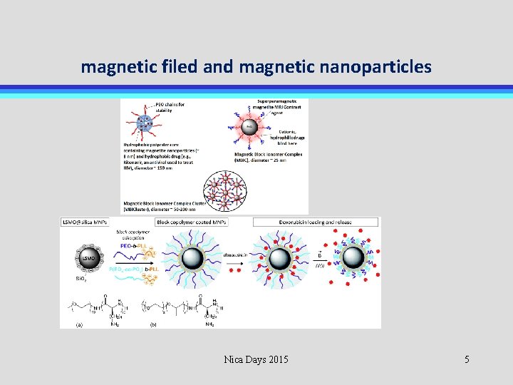 magnetic filed and magnetic nanoparticles Nica Days 2015 5 