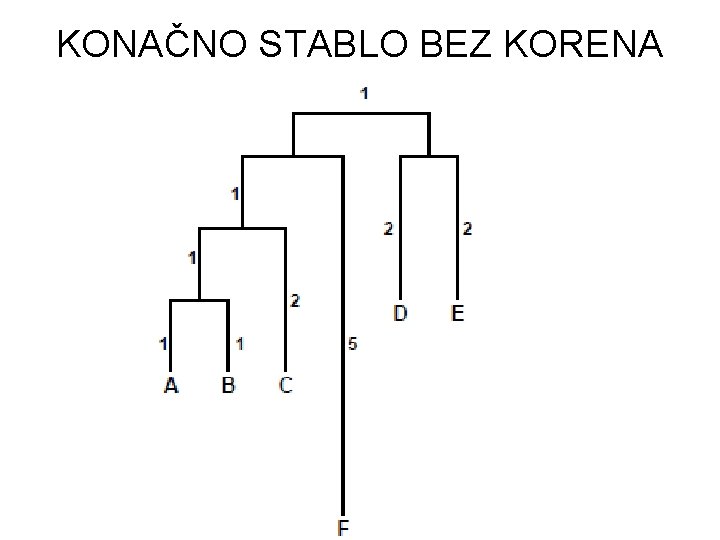 KONAČNO STABLO BEZ KORENA 