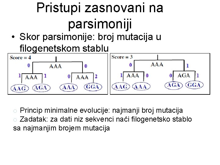 Pristupi zasnovani na parsimoniji • Skor parsimonije: broj mutacija u filogenetskom stablu o Princip