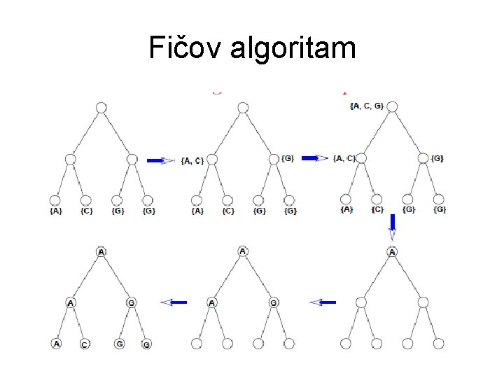 Fičov algoritam 