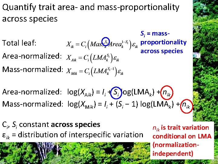 Quantify trait area- and mass-proportionality across species Total leaf: Area-normalized: Si = massproportionality across