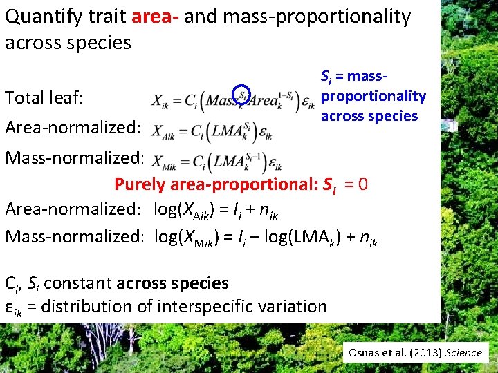 Quantify trait area- and mass-proportionality across species Total leaf: Area-normalized: Si = massproportionality across