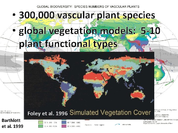  • 300, 000 vascular plant species • global vegetation models: 5 -10 plant