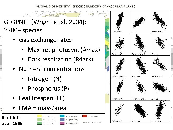 GLOPNET (Wright et al. 2004): 2500+ species • Gas exchange rates • Max net