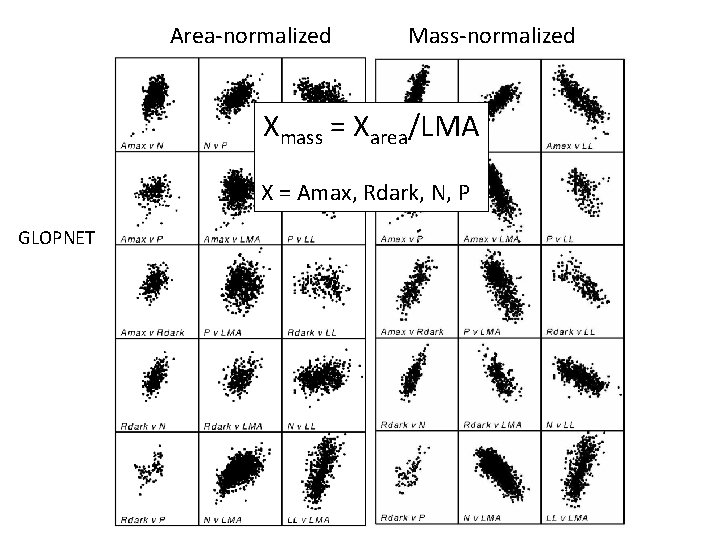 Area-normalized Mass-normalized Xmass = Xarea/LMA X = Amax, Rdark, N, P GLOPNET 