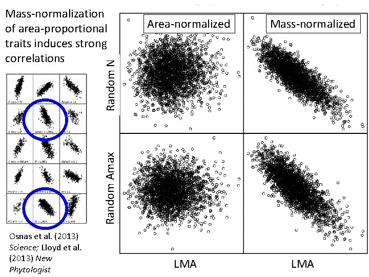 Mass-normalization of area-proportional traits induces strong correlations Mass-normalized Random N Area-normalized Random Amax LMA