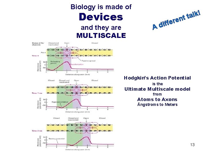 Biology is made of Devices and they are MULTISCALE lk a t t en Biology is made of Devices and they are MULTISCALE lk a t t en