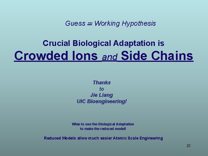 Guess Working Hypothesis Crucial Biological Adaptation is Crowded Ions and Side Chains Thanks to Guess Working Hypothesis Crucial Biological Adaptation is Crowded Ions and Side Chains Thanks to