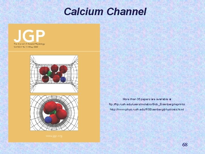 Calcium Channel More than 35 papers are available at ftp: //ftp. rush. edu/users/molebio/Bob_Eisenberg/reprints http: Calcium Channel More than 35 papers are available at ftp: //ftp. rush. edu/users/molebio/Bob_Eisenberg/reprints http: