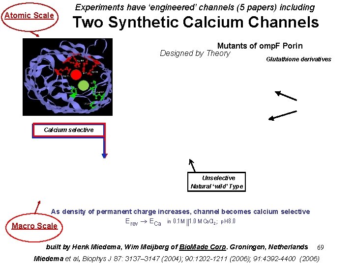Atomic Scale Experiments have ‘engineered’ channels (5 papers) including Two Synthetic Calcium Channels Mutants Atomic Scale Experiments have ‘engineered’ channels (5 papers) including Two Synthetic Calcium Channels Mutants