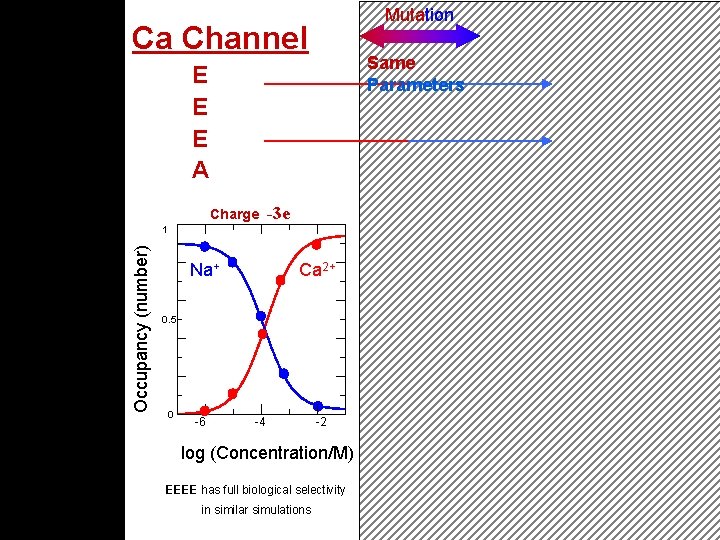 Mutation Ca Channel Same Parameters E E E A Charge Occupancy (number) Na Channel Mutation Ca Channel Same Parameters E E E A Charge Occupancy (number) Na Channel
