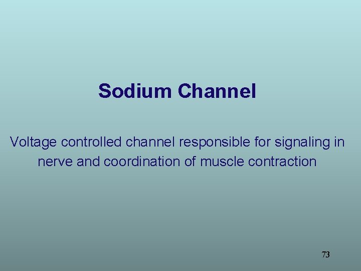 Sodium Channel Voltage controlled channel responsible for signaling in nerve and coordination of muscle Sodium Channel Voltage controlled channel responsible for signaling in nerve and coordination of muscle