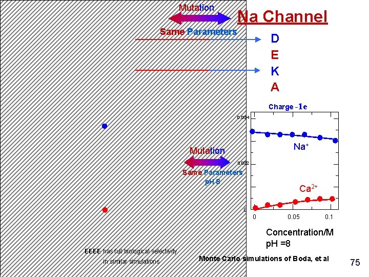 Ca Channel E E E A Charge Occupancy (number) Mutation Na Channel Same Parameters Ca Channel E E E A Charge Occupancy (number) Mutation Na Channel Same Parameters