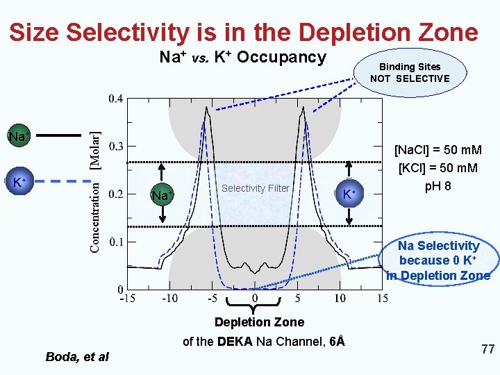 Size Selectivity is in the Depletion Zone Na+ vs. K+ Occupancy Binding Sites NOT Size Selectivity is in the Depletion Zone Na+ vs. K+ Occupancy Binding Sites NOT
