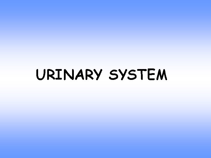 URINARY SYSTEM 