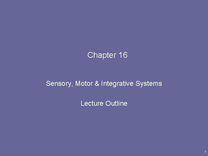 Chapter 16 Sensory, Motor & Integrative Systems Lecture Outline 1 