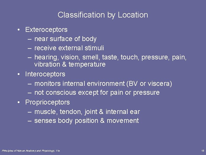 Classification by Location • Exteroceptors – near surface of body – receive external stimuli