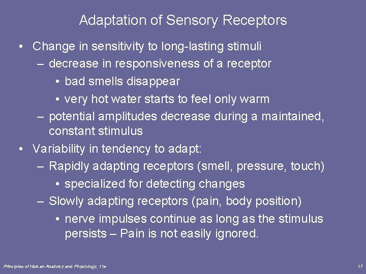 Adaptation of Sensory Receptors • Change in sensitivity to long-lasting stimuli – decrease in