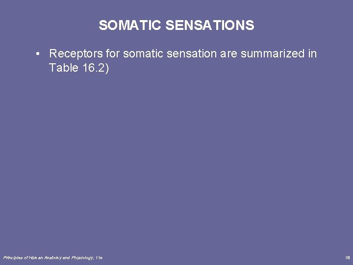 SOMATIC SENSATIONS • Receptors for somatic sensation are summarized in Table 16. 2) Principles