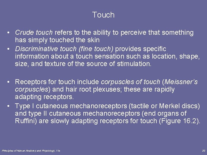 Touch • Crude touch refers to the ability to perceive that something has simply